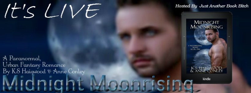 Moonrising Banner